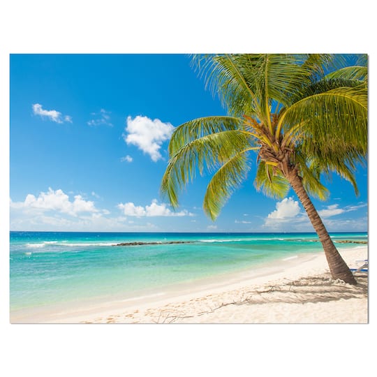 Designart - Palm tree over white sand